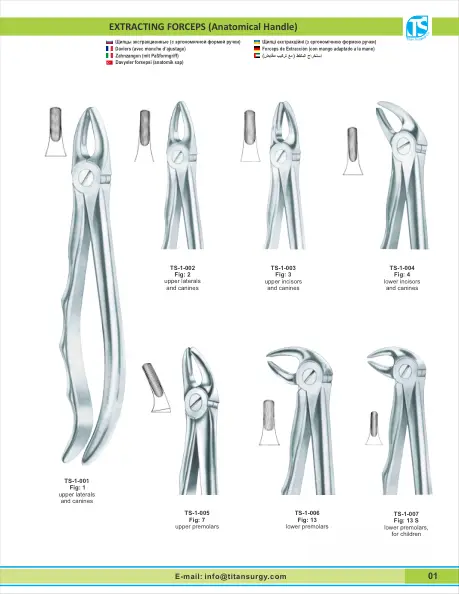 Dental extraction forceps from catalogue